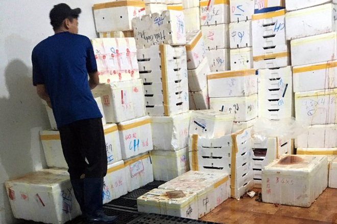 L&acirc;m Đồng ti&ecirc;u hủy hơn 8,7 tấn d&acirc;u t&acirc;y, nghi nhập từ Trung Quốc - Ảnh 3.