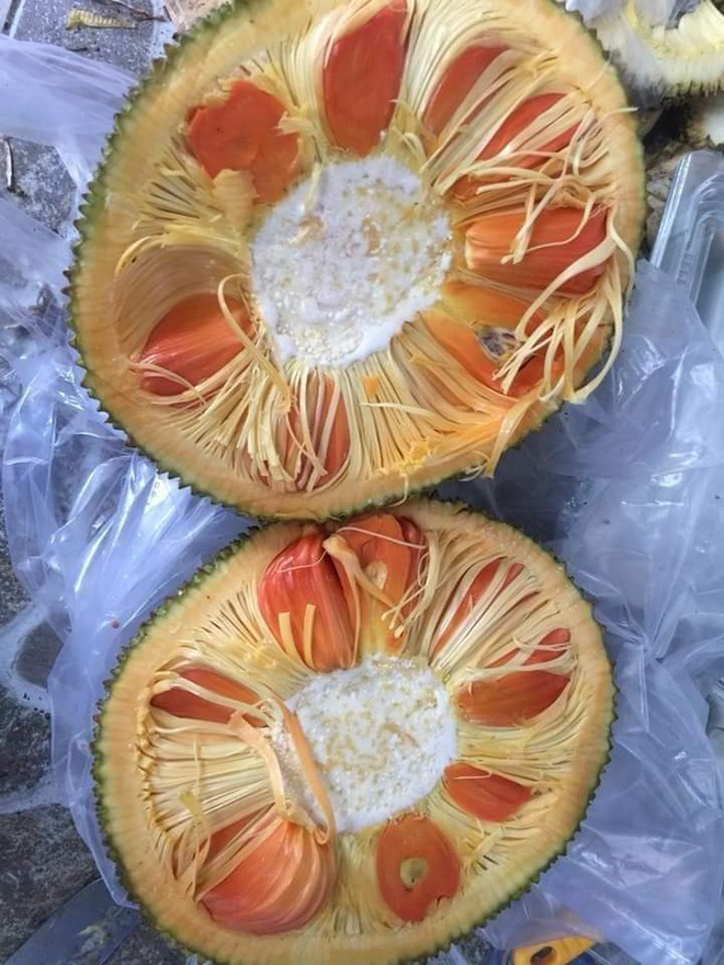 Lạ miệng m&iacute;t ruột đỏ m&uacute;i to d&agrave;y, thơm ngọt c&oacute; gi&aacute; 120 ng&agrave;n đồng/kg vẫn h&uacute;t kh&aacute;ch s&agrave;nh ăn - Ảnh 3.