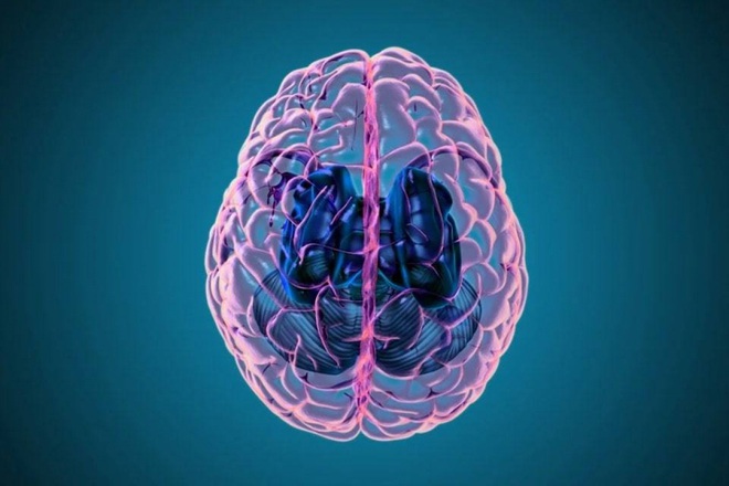 Nghi&ecirc;n cứu mới ph&aacute;t hiện SARS-CoV-2 c&oacute; thể x&acirc;m nhập n&atilde;o người - Ảnh 1.