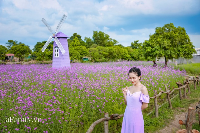 Giới trẻ chết m&ecirc; chết mệt với c&aacute;nh đồng oải hương thảo giữa l&ograve;ng H&agrave; Nội, rộng ng&uacute;t tầm mắt tha hồ check-in chẳng phải đi đ&acirc;u xa - Ảnh 12.