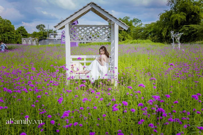 Giới trẻ chết m&ecirc; chết mệt với c&aacute;nh đồng oải hương thảo giữa l&ograve;ng H&agrave; Nội, rộng ng&uacute;t tầm mắt tha hồ check-in chẳng phải đi đ&acirc;u xa - Ảnh 13.