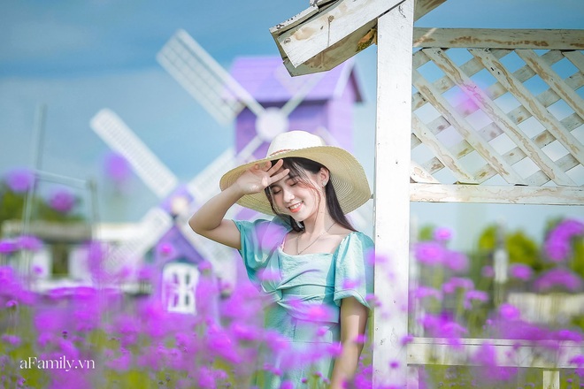 Giới trẻ chết m&ecirc; chết mệt với c&aacute;nh đồng oải hương thảo giữa l&ograve;ng H&agrave; Nội, rộng ng&uacute;t tầm mắt tha hồ check-in chẳng phải đi đ&acirc;u xa - Ảnh 7.
