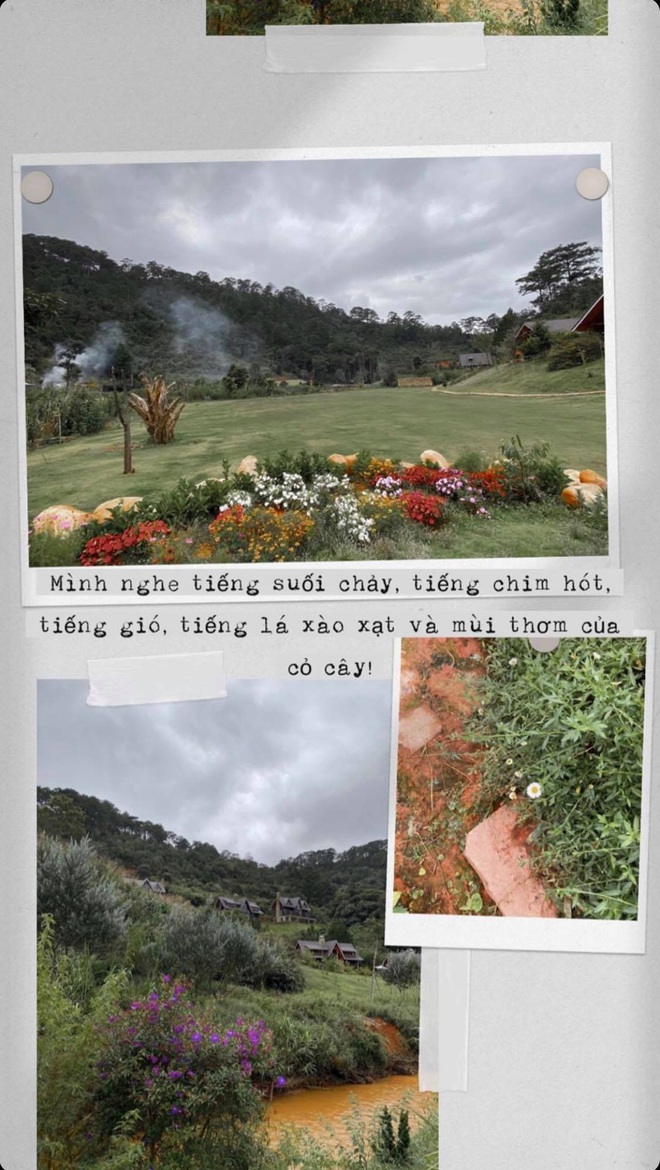 Hà Tăng trầm ngâm kể về “ngôi làng cổ tích” mới tìm ra ở Đà Lạt, ai nấy đều xốn xang với khung cảnh quá đỗi ngoạn mục - Ảnh 5. Hà Tăng trầm ngâm kể về “ngôi làng cổ tích” mới tìm ra ở Đà Lạt, ai nấy đều xốn xang với khung cảnh quá đỗi ngoạn mục - Ảnh 5.