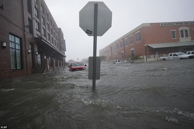 Bão Sally gây lụt lịch sử tại Mỹ, quật đổ cây cối, nhấn chìm đường phố trong biển nước - Ảnh 10.