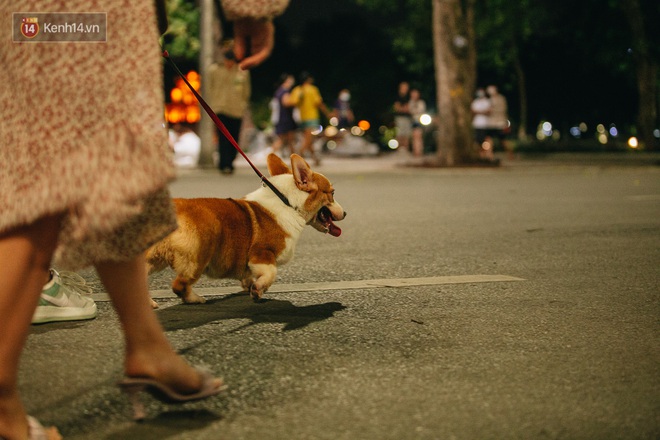 Ảnh: Trời vào Thu mát mẻ, người Hà Nội vui vẻ dạo chơi sau khi phố đi bộ hoạt động trở lại - Ảnh 14.