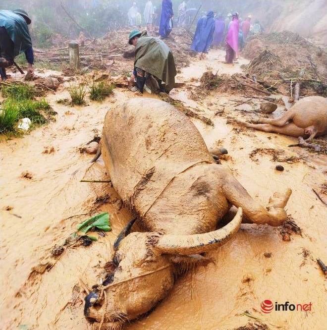 Mưa lớn, sạt lở đất, bản làng biên giới Nghệ An bị cô lập, 1 người tử vong - Ảnh 3.