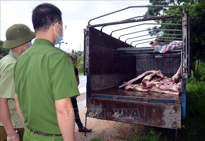 Phát hiện vụ vận chuyển gần 1 tấn lợn và thịt lợn mắc dịch tả lợn châu Phi  - Ảnh 1.