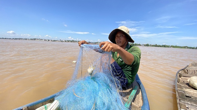 Mưa 12 tiếng trắng trời nhưng kh&ocirc;ng t&aacute;c động lớn ở Miền T&acirc;y  - Ảnh 3.