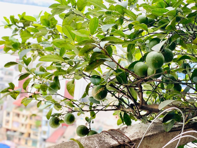 Khi các MC đình đám VTV khoe nhà: Từ căn 5 tỷ, tới nhà phố to đùng, hay chung cư tự decor đủ hết! - Ảnh 15.