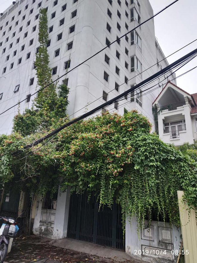 Khi các MC đình đám VTV khoe nhà: Từ căn 5 tỷ, tới nhà phố to đùng, hay chung cư tự decor đủ hết! - Ảnh 3.