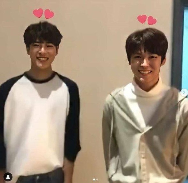 NCT 2020 đề ra bài "test nhân phẩm" cực khó cho fan khi tỉ lệ trúng card idol mình thích còn khó hơn tỉ lệ đỗ vào trường Harvard! - Ảnh 3. NCT 2020 đề ra bài "test nhân phẩm" cực khó cho fan khi tỉ lệ trúng card idol mình thích còn khó hơn tỉ lệ đỗ vào trường Harvard! - Ảnh 3.