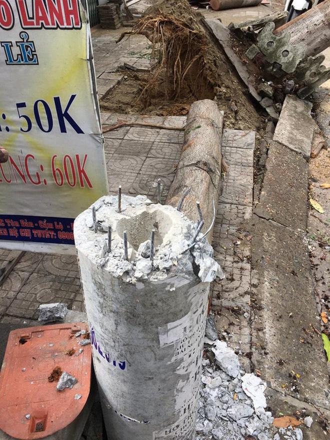 H&agrave;ng trăm cột điện g&atilde;y đổ trong b&atilde;o số 5: Do c&acirc;y xanh ng&atilde; đ&egrave; - Ảnh 1.
