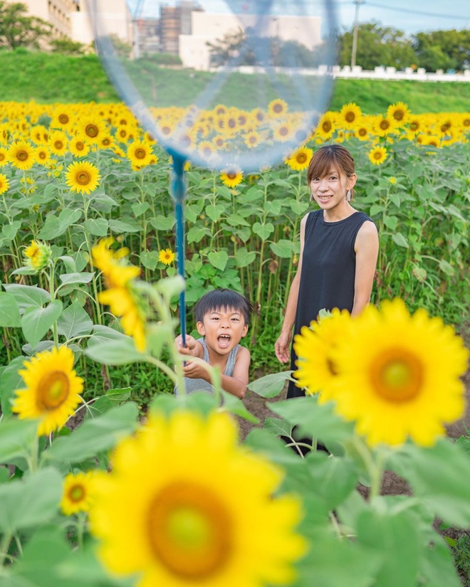 Có một nước Nhật đẹp đến nao lòng qua ống kính của ông bố trẻ “mê” chụp ảnh vợ và con trai, ai xem xong cũng “tan chảy” - Ảnh 24.