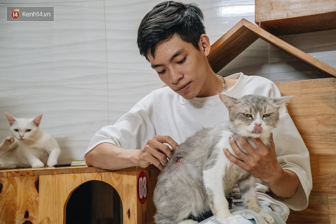 Chàng trai 24 tuổi bỏ công việc ổn định để cứu trợ mèo, mái ấm của các bé mèo lên hãng thông tấn AFP của Pháp - Ảnh 7.