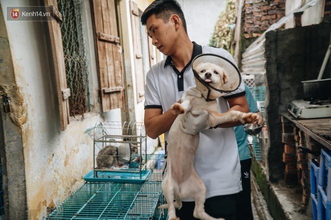 Trạm cứu hộ chó, mèo của các bạn sinh viên ở Hà Nội: Chúng mình luôn sẵn sàng khi có cuộc gọi khẩn cấp - Ảnh 8.