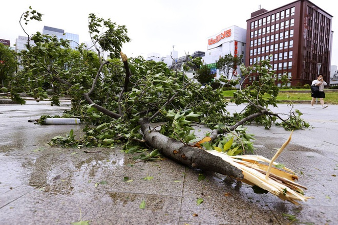 Nhật Bản: Đến nh&agrave; gi&aacute;m đốc tr&uacute; b&atilde;o Haishen, 2 thực tập sinh Việt Nam kh&ocirc;ng may gặp nạn - Ảnh 3.