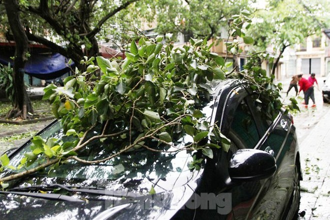 Bão Vamco đổ bộ vào đất liền: Các tỉnh miền Trung gió giật kinh hoàng, đảo Cồn Cỏ bị cắt đứt hoàn toàn liên lạc - Ảnh 8.