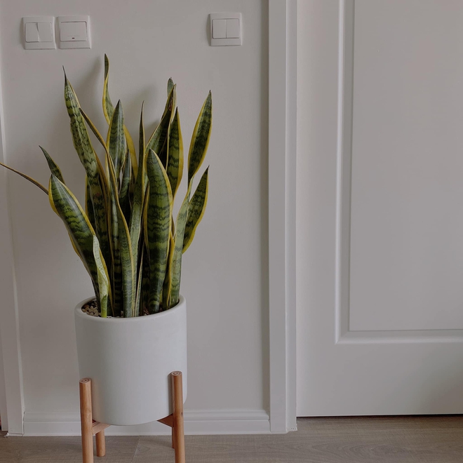 Trai Hà thành độc thân mua căn nhà thứ 2, tự tay decor vừa đẹp vừa sang mà chỉ tốn 140 triệu - Ảnh 11.
