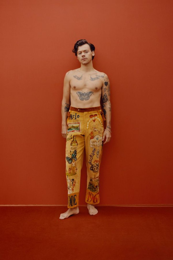 Harry Styles gây tranh cãi vì cởi trần mặc váy xòe, đầm dạ hội lên tạp chí, netizen choáng hơn khi &quot;đào&quot; lại bộ ảnh ba lê - Ảnh 7.