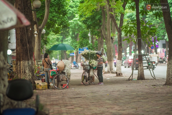 Hà Nội những ngày này, có những chiếc xe &quot;gói trọn mùa thu&quot; rong ruổi khắp phố phường - Ảnh 2.