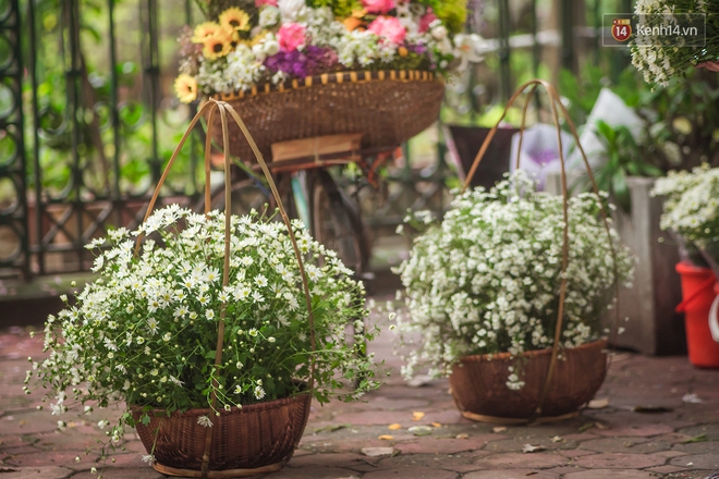 Hà Nội những ngày này, có những chiếc xe &quot;gói trọn mùa thu&quot; rong ruổi khắp phố phường - Ảnh 4.