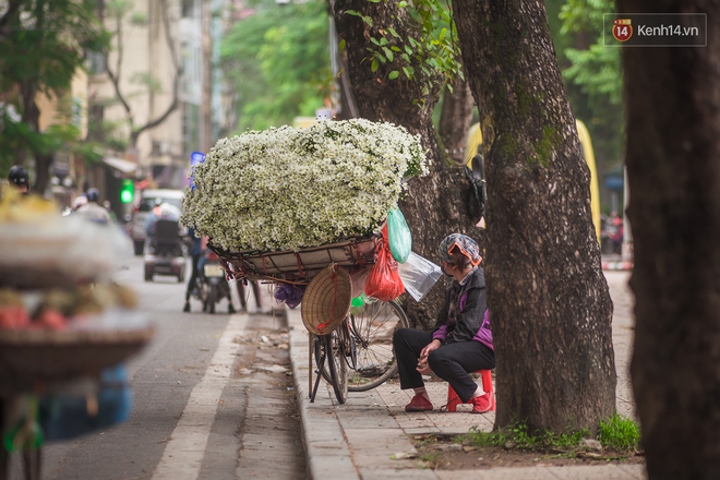 Hà Nội những ngày này, có những chiếc xe &quot;gói trọn mùa thu&quot; rong ruổi khắp phố phường - Ảnh 4.