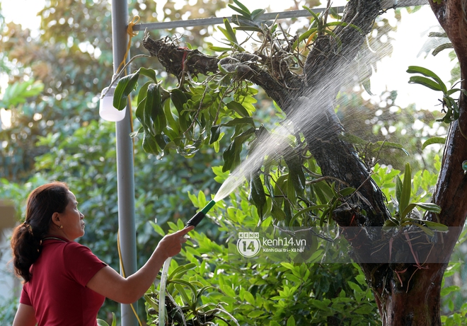 Độc quyền: Cận cảnh phòng riêng và loạt bằng khen của Hoa hậu Việt Nam Đỗ Thị Hà trong cơ ngơi rộng hàng trăm m2 ở Thanh Hoá - Ảnh 14. Độc quyền: Cận cảnh phòng riêng và loạt bằng khen của Hoa hậu Việt Nam Đỗ Thị Hà trong cơ ngơi rộng hàng trăm m2 ở Thanh Hoá - Ảnh 14.