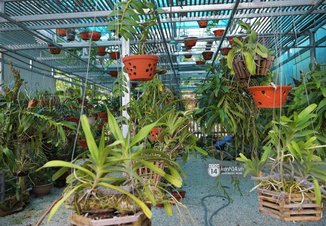 Độc quyền: Cận cảnh phòng riêng và loạt bằng khen của Hoa hậu Việt Nam Đỗ Thị Hà trong cơ ngơi rộng hàng trăm m2 ở Thanh Hoá - Ảnh 18. Độc quyền: Cận cảnh phòng riêng và loạt bằng khen của Hoa hậu Việt Nam Đỗ Thị Hà trong cơ ngơi rộng hàng trăm m2 ở Thanh Hoá - Ảnh 18.