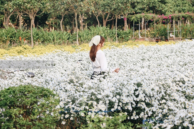 Trường ĐH rộng gần 200ha có vườn hoa đẹp nhất mùa đông Hà Nội ...