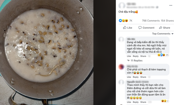 Đang đói bụng định ăn chè thì thấy sinh vật lạ trong nồi, cô nàng hoảng hồn kể lại, dân tình nghe xong xỉu up xỉu down - Ảnh 1. Đang đói bụng định ăn chè thì thấy sinh vật lạ trong nồi, cô nàng hoảng hồn kể lại, dân tình nghe xong xỉu up xỉu down - Ảnh 1.