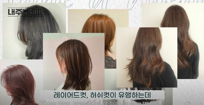 Hairstylist người Hàn bày cách cứu rỗi mái tóc mỏng dính, hói cả mảng: Chị em tự làm ở nhà ngon ơ mà chẳng cần ra tiệm - Ảnh 4.