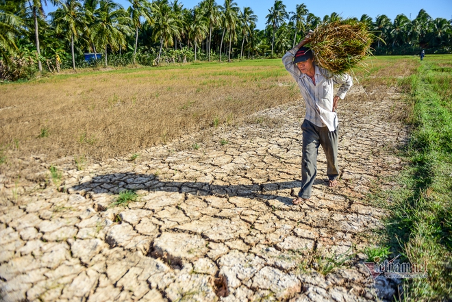 2020 đầy biến động về thời tiết, thiên tai: Mưa đá ngay Mùng 1 Tết, hạn mặn lịch sử, gần 10 cơn bão, lũ chồng lũ đau thương miền Trung - Ảnh 2.