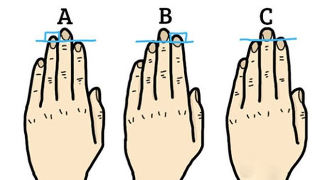 Hình dáng, độ dài ngón tay, mu bàn tay sẽ tiết lộ điều gì về tính cách của bạn? - Ảnh 5.