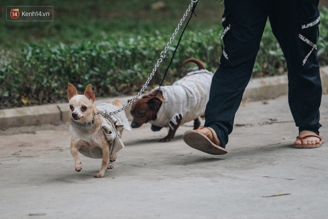 Hà Nội rét đậm rét hại, các boss cũng lên đồ cưng xỉu mỗi khi ra đường! - Ảnh 6.