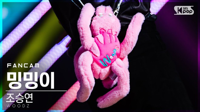 Chuyện thật như đùa: Thú bông của idol có hẳn fancam riêng, ra video cover Taeyeon, giật luôn spotlight của chính chủ với lượt xem vượt trội - Ảnh 1.