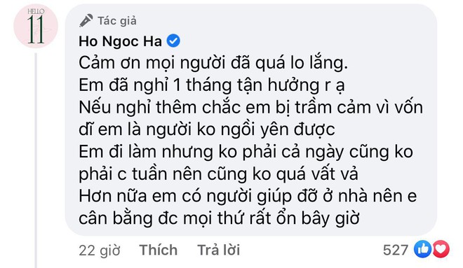 Bị netizen góp ý vì đi làm lại chỉ sau 1 tháng sinh đôi trai gái, Hà Hồ lên tiếng nói rõ luôn và ngay! - Ảnh 3.