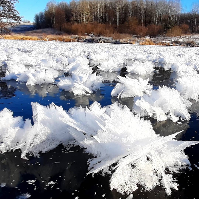 Loạt hình ảnh trong mùa đông khắc nghiệt, băng tuyết trắng xoá ở nước Nga chỉ nhìn thôi cũng đủ thấy rét run cầm cập - Ảnh 14.