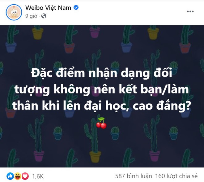 7749 các đặc điểm nhận dạng đối tượng không nên kết bạn khi lên đại học, điển hình là Teamwork hay tao - work - Ảnh 1.