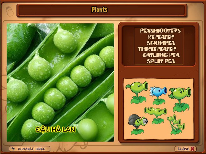 Nhà ai cũng 3 đời cày Plants vs Zombies nhưng chẳng ai biết hết những loại cây trong game này! - Ảnh 2.