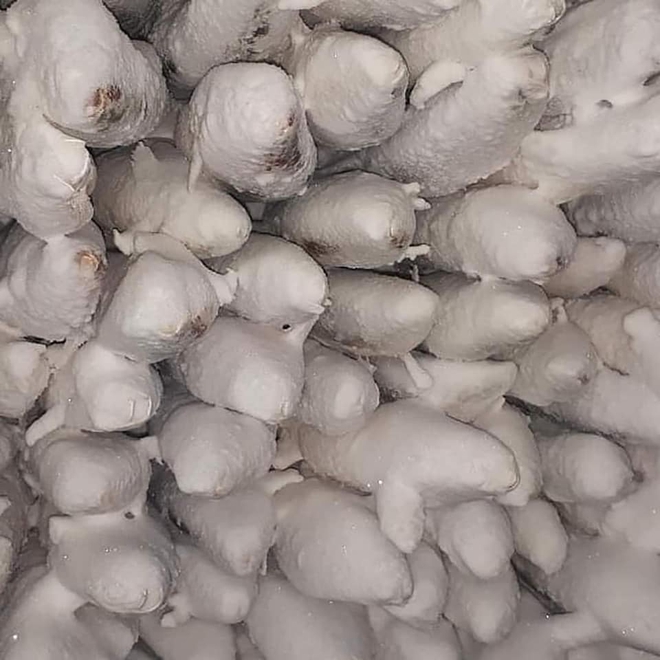 Bức ảnh cá cứng đơ xếp từng chồng bày bán ở chợ gây ngạc nhiên tột độ và sự thật về thành phố lạnh nhất thế giới, đóng băng cả lông mi và tóc - Ảnh 8.