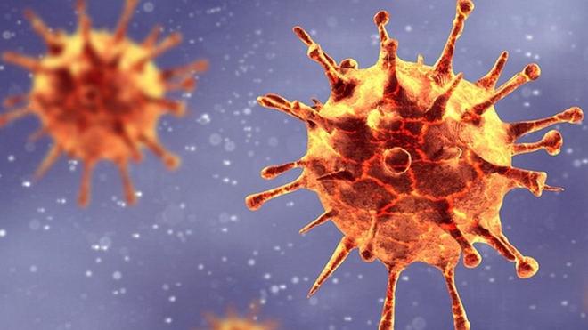 8 quốc gia ch&acirc;u &Acirc;u ph&aacute;t hiện biến thể mới của virus SARS-CoV-2 - Ảnh 1.