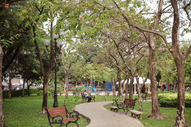 Ngắm nh&igrave;n một S&agrave;i G&ograve;n b&igrave;nh y&ecirc;n trong ng&agrave;y cuối năm 2020 - Ảnh 5.