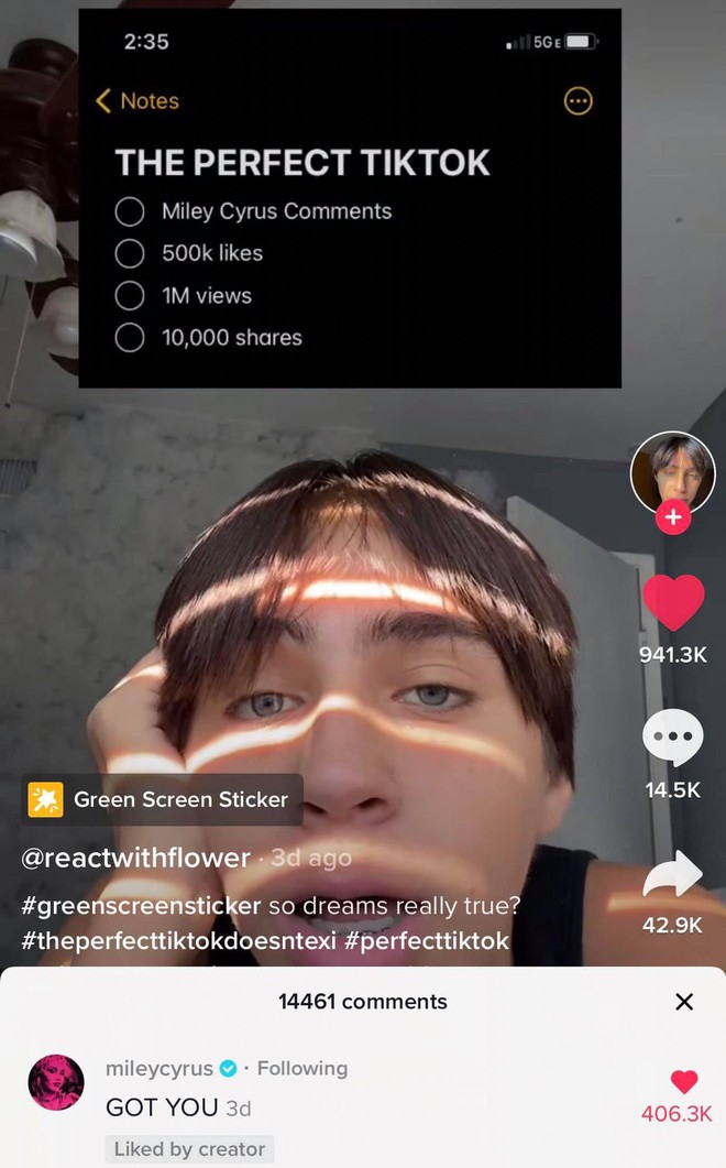 Miley Cyrus đang túc trực ngày đêm trên TikTok, comment vào tất cả video của fan và tạo luôn cơn sốt mới! - Ảnh 15.