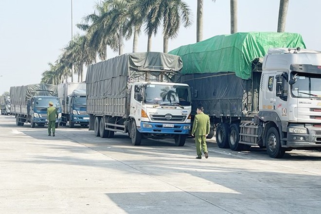 Bắt giữ đoàn 14 xe tải chở 300 tấn hàng tiêu dùng lậu từ Quảng Ninh về Hà Nội - Ảnh 1. Bắt giữ đoàn 14 xe tải chở 300 tấn hàng tiêu dùng lậu từ Quảng Ninh về Hà Nội - Ảnh 1.