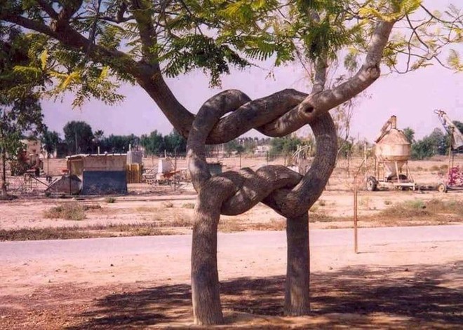 Những lần “mẹ thiên nhiên” đưa chúng ta đi hết từ bất ngờ này sang ngạc nhiên nọ, xem tới đâu bạn sẽ lác mắt tới đó (Phần 3) - Ảnh 3.