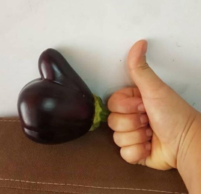 Những lần “mẹ thiên nhiên” đưa chúng ta đi hết từ bất ngờ này sang ngạc nhiên nọ, xem tới đâu bạn sẽ lác mắt tới đó (Phần 3) - Ảnh 15.