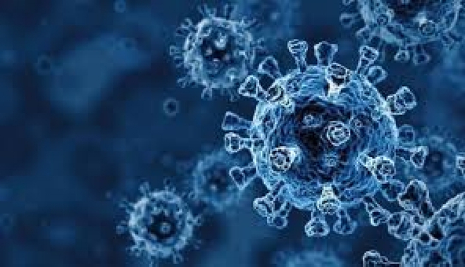 Biến thể virus SARS-CoV-2 gia tăng khả năng lây nhiễm ở mọi nhóm tuổi - Ảnh 1.