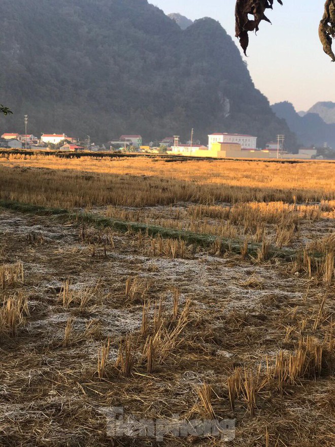 Sương muối bao phủ, trắng nh&agrave; cửa, ruộng đồng ở Lạng Sơn - Ảnh 8.