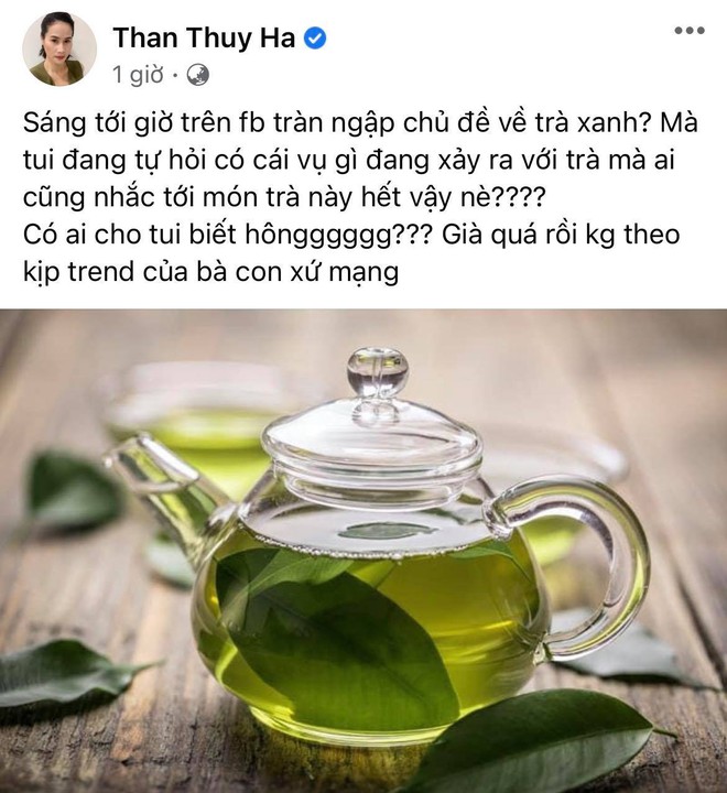D&agrave;n sao Vbiz đồng loạt đăng status về &ldquo;tr&agrave; xanh&rdquo; sau drama T&ugrave;ng - Tr&acirc;m: Th&aacute;i Trinh gợi nhớ chuyện cũ, Tr&agrave; Ngọc bỗng bị tấn c&ocirc;ng - Ảnh 10.