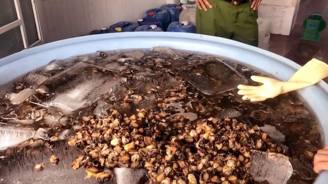 Đột k&iacute;ch cơ sở mỗi ng&agrave;y tuồn h&agrave;ng tấn ốc ngậm h&oacute;a chất ra thị trường - Ảnh 2.